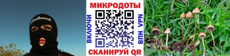 купить  сайты  Рудня  Галлюциногенные грибы мухоморы 